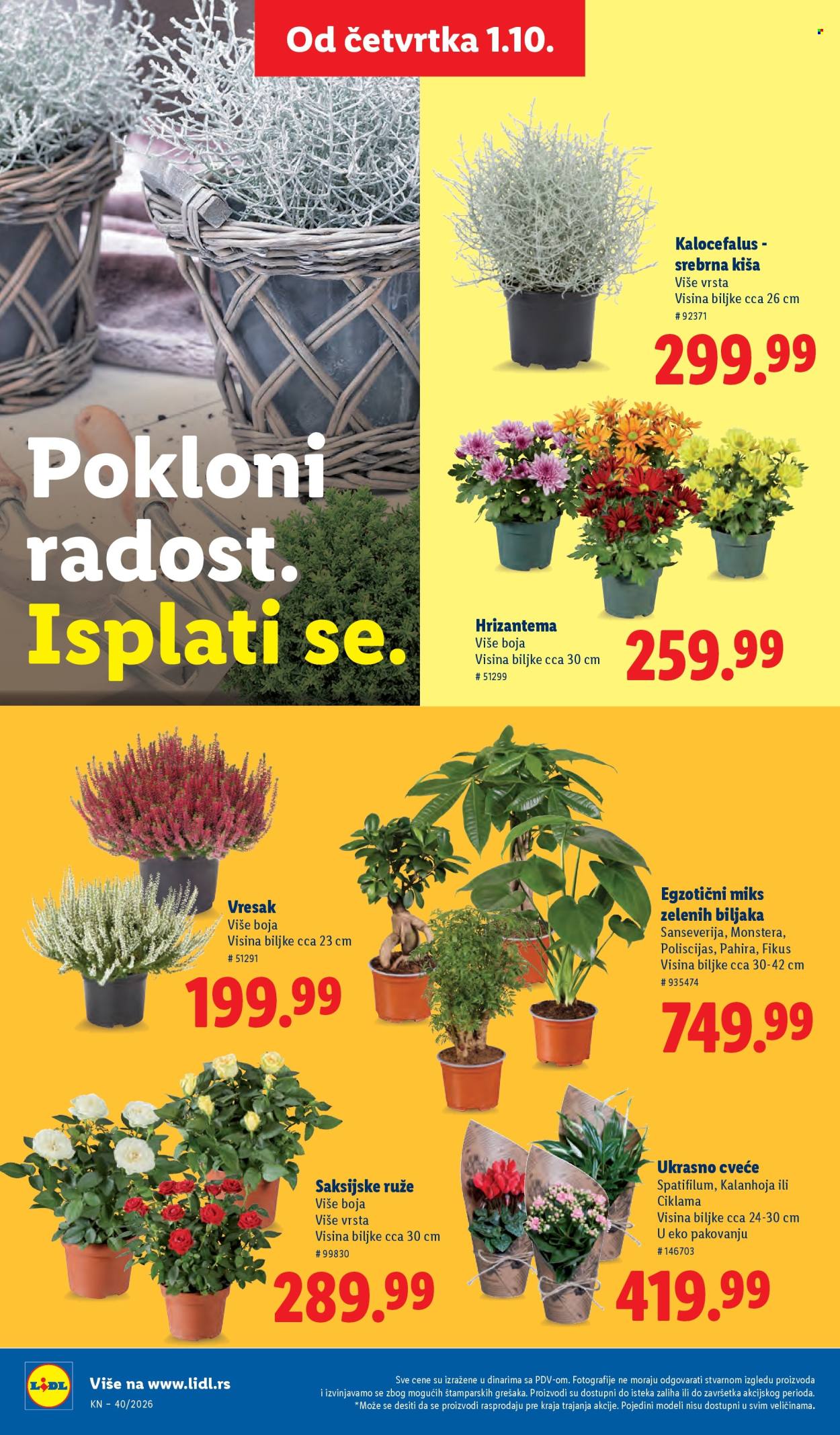 Lidl katalog - 01.10.2026 - 07.10.2026. Stranica 68