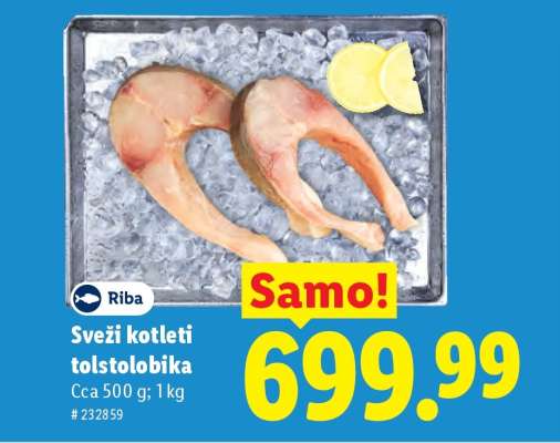 Sveži kotleti tolstolobika