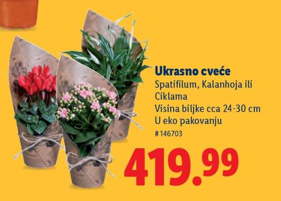 Ukrasno cveće