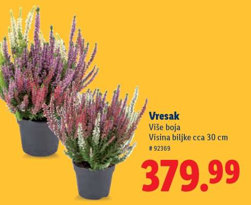Vresak