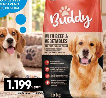 BUDDY