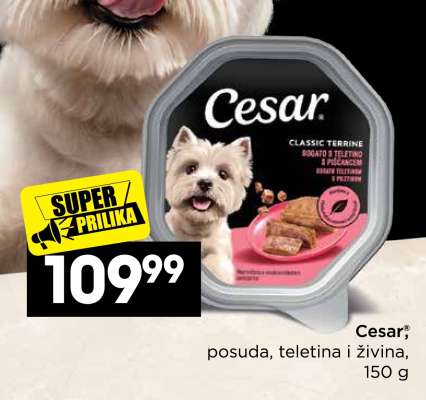 Cesar
