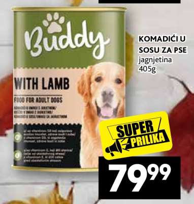 BUDDY