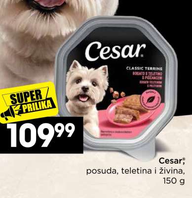Cesar