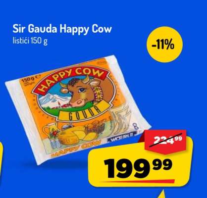 Sir Gauda Happy Cow