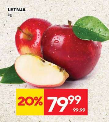 LETNJA