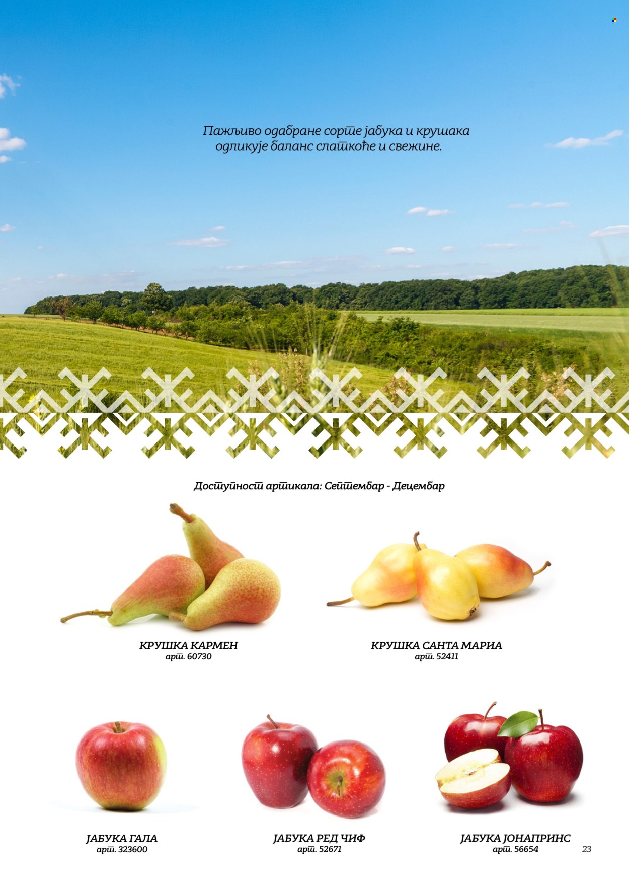 Metro katalog. Stranica 23