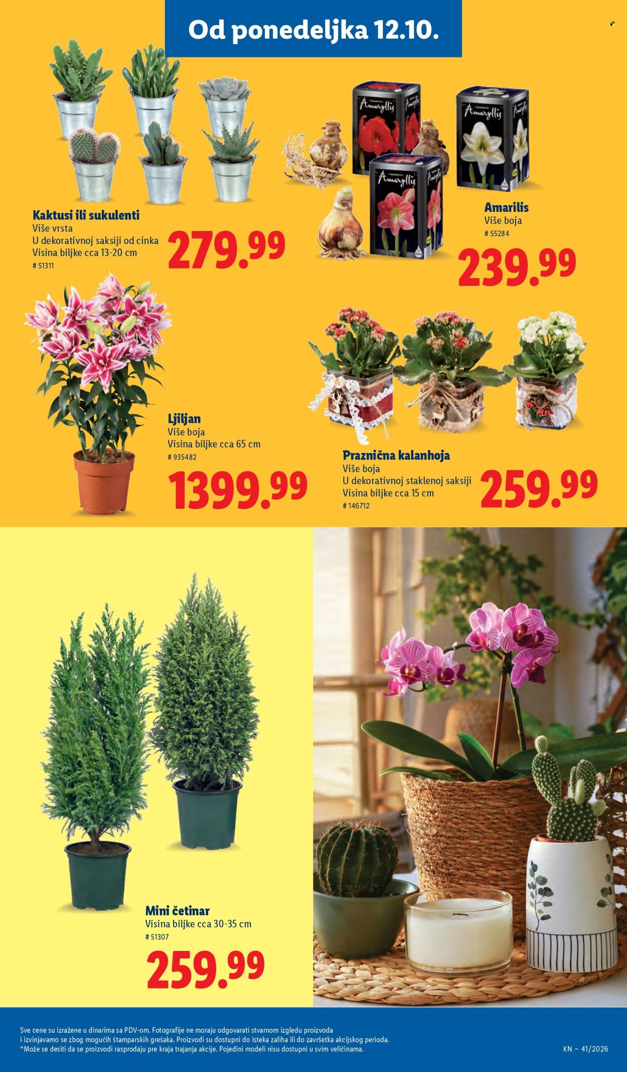 Lidl katalog - 08.10.2026 - 14.10.2026. Stranica 73