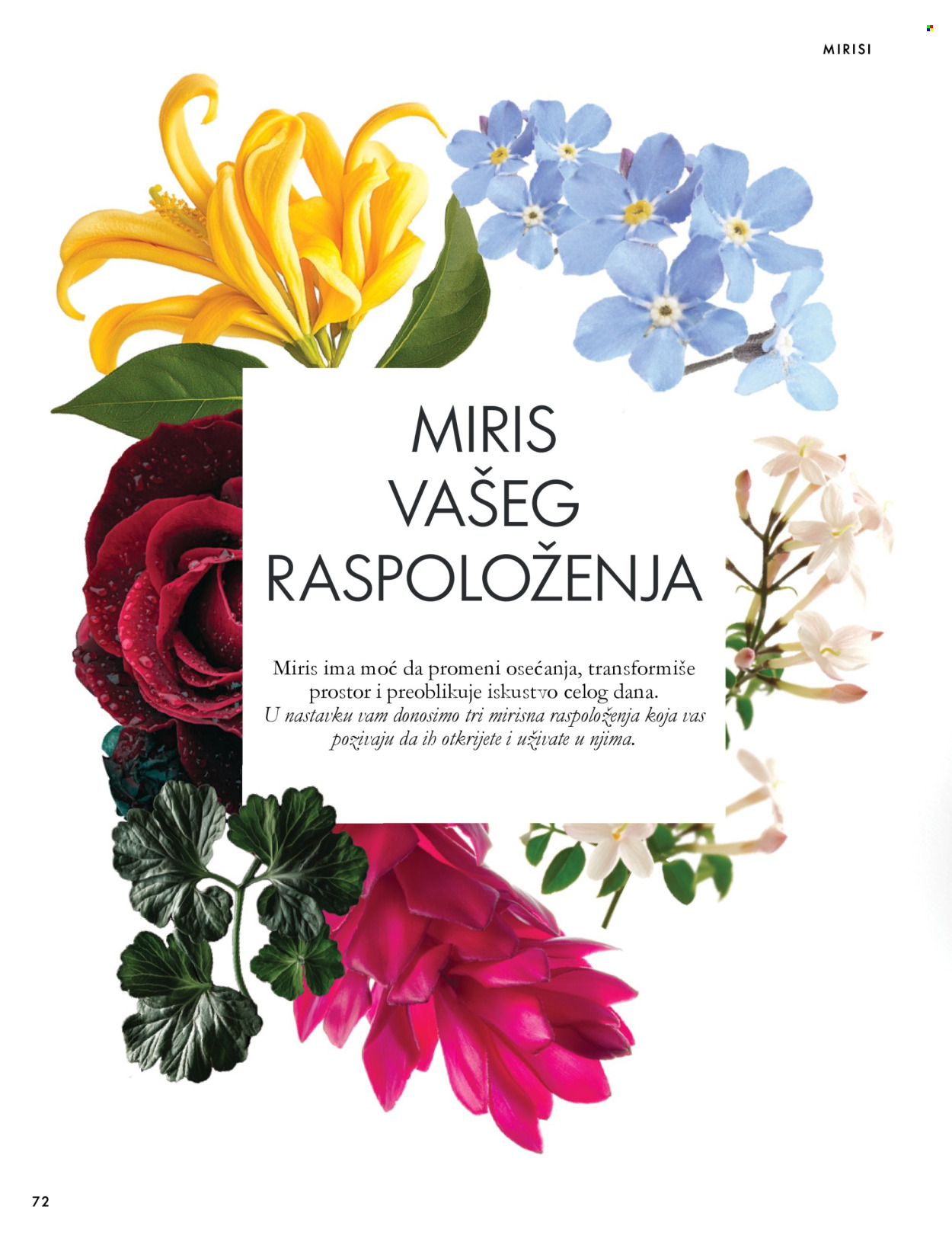 Oriflame katalog - 07.10.2026 - 17.11.2026. Stranica 72