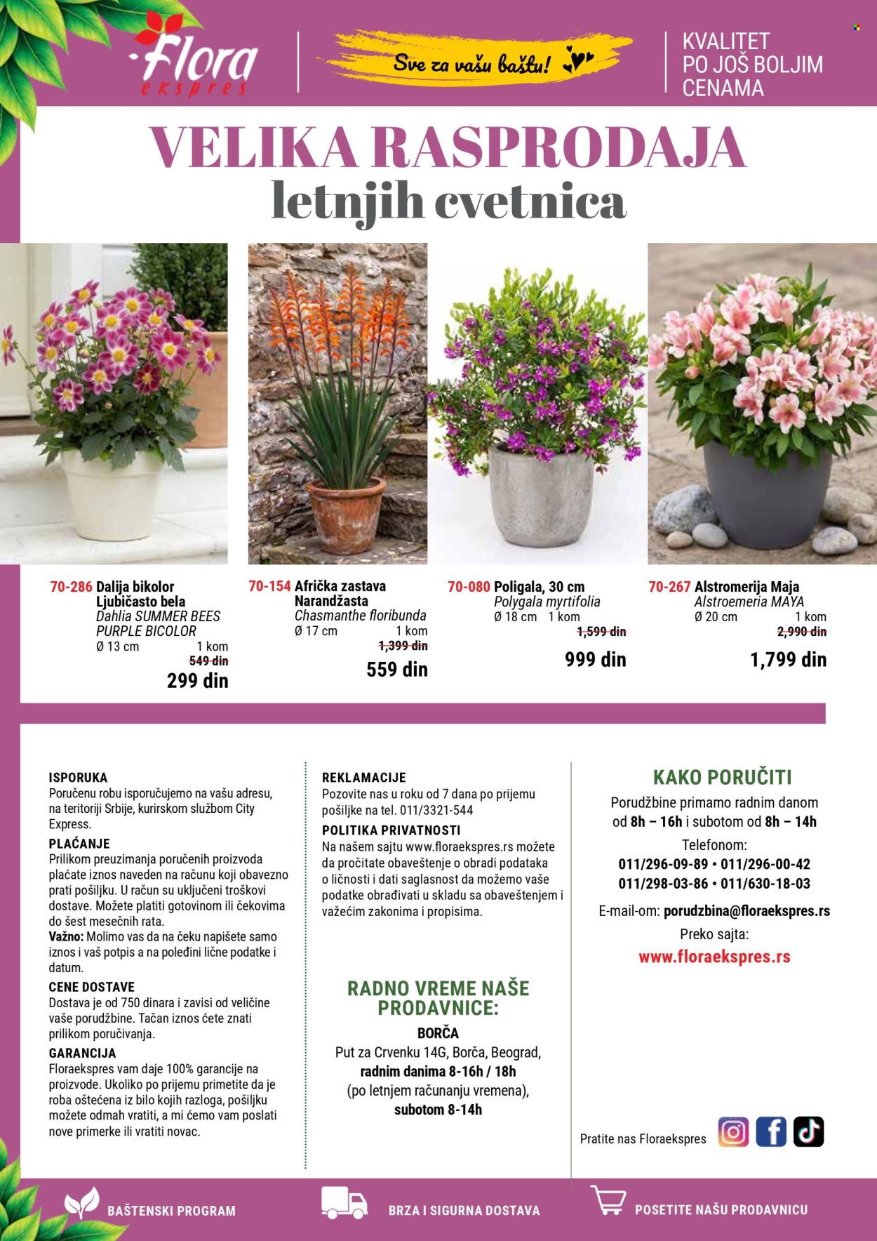 Flora Ekspres katalog. Stranica 2