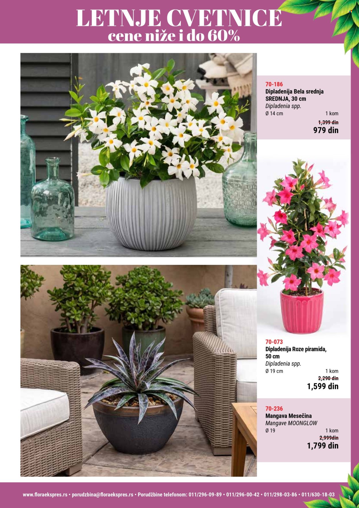 Flora Ekspres katalog. Stranica 3