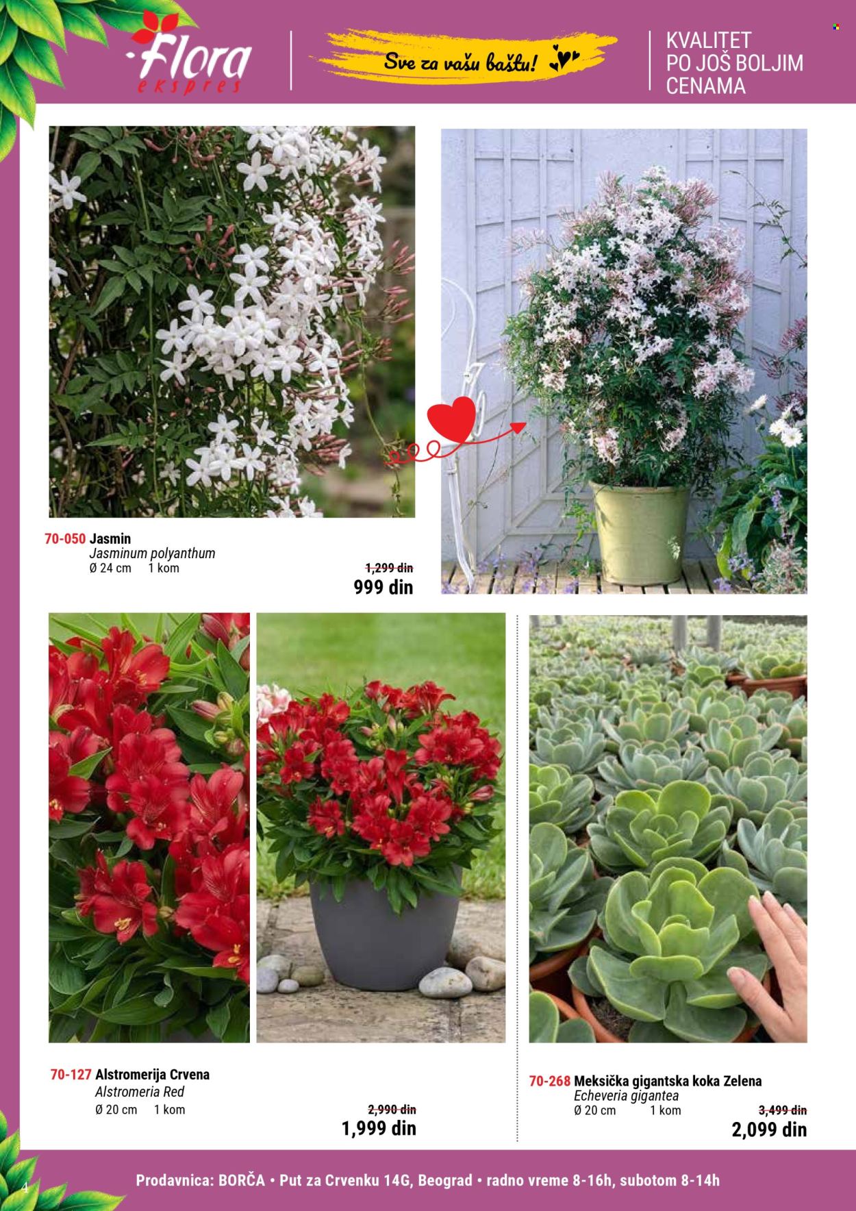 Flora Ekspres katalog. Stranica 4