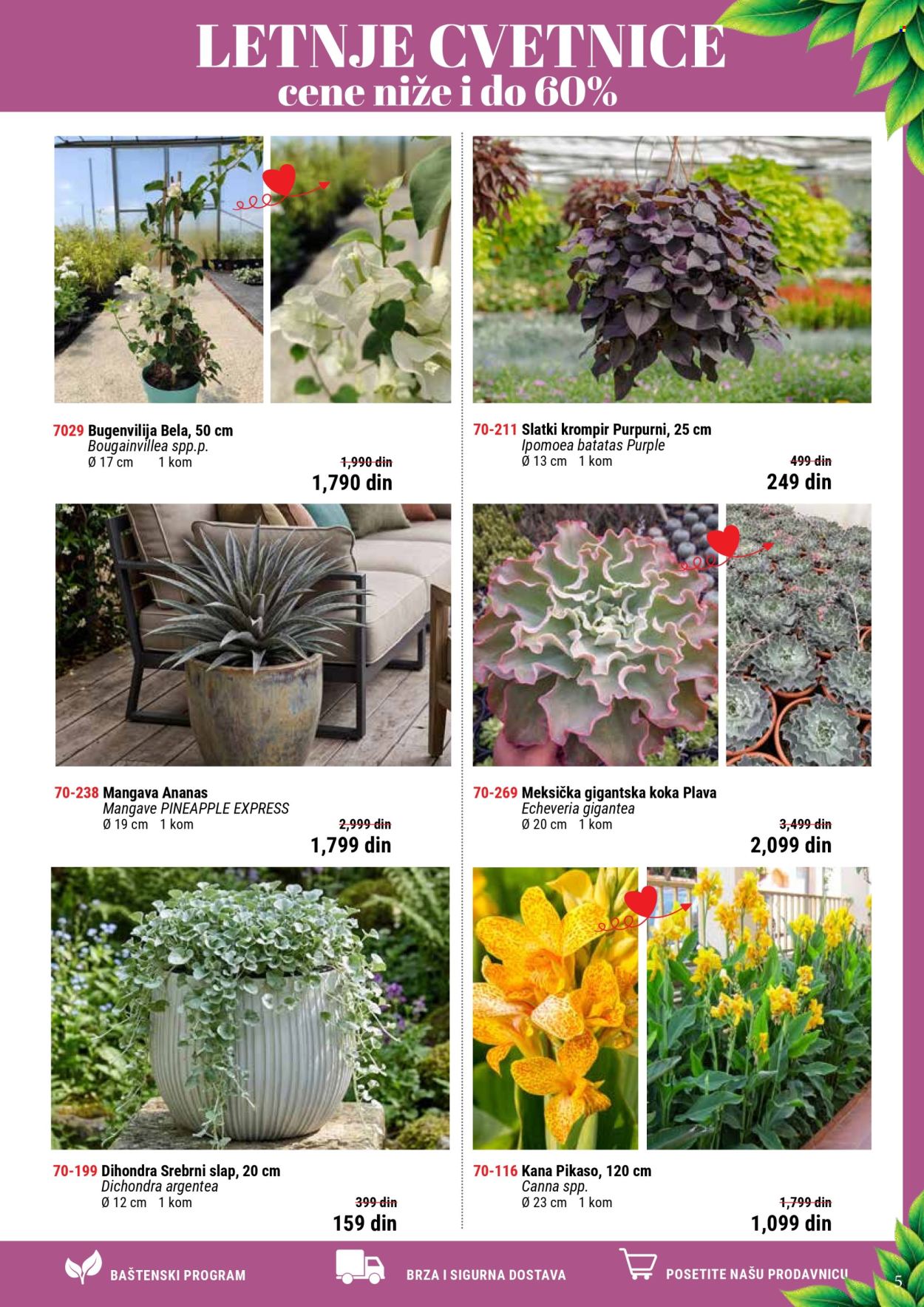 Flora Ekspres katalog. Stranica 5