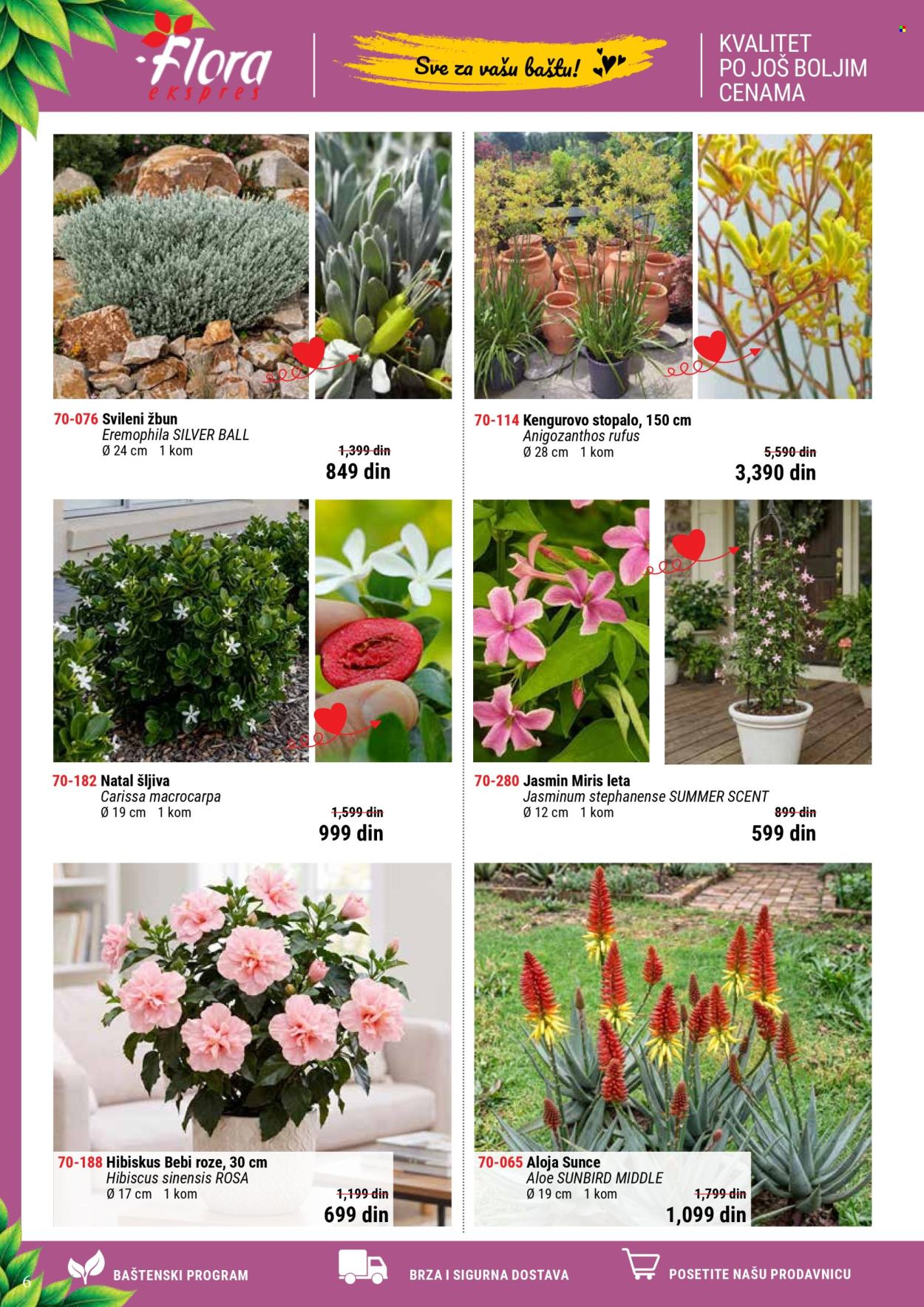 Flora Ekspres katalog. Stranica 6