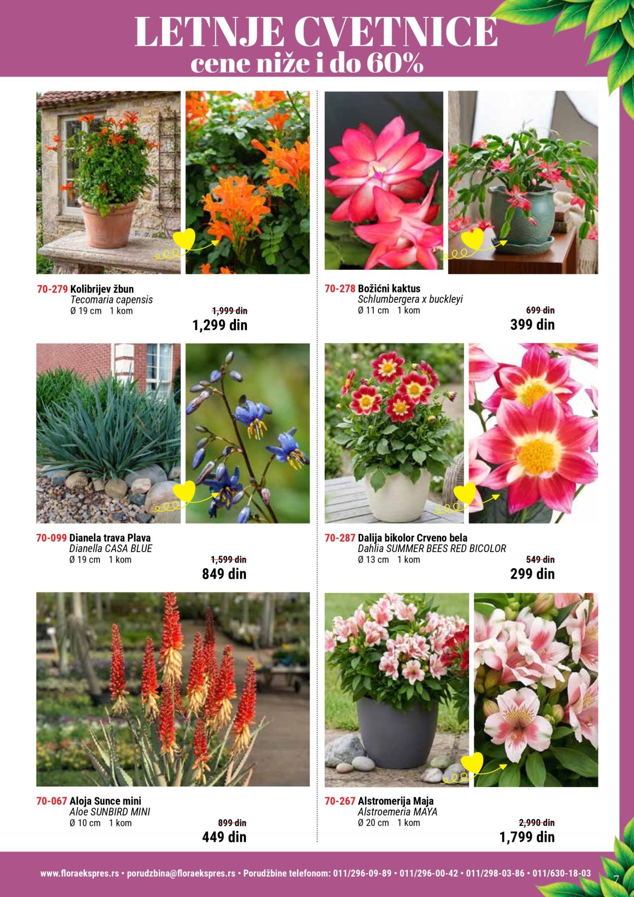 Flora Ekspres katalog. Stranica 7