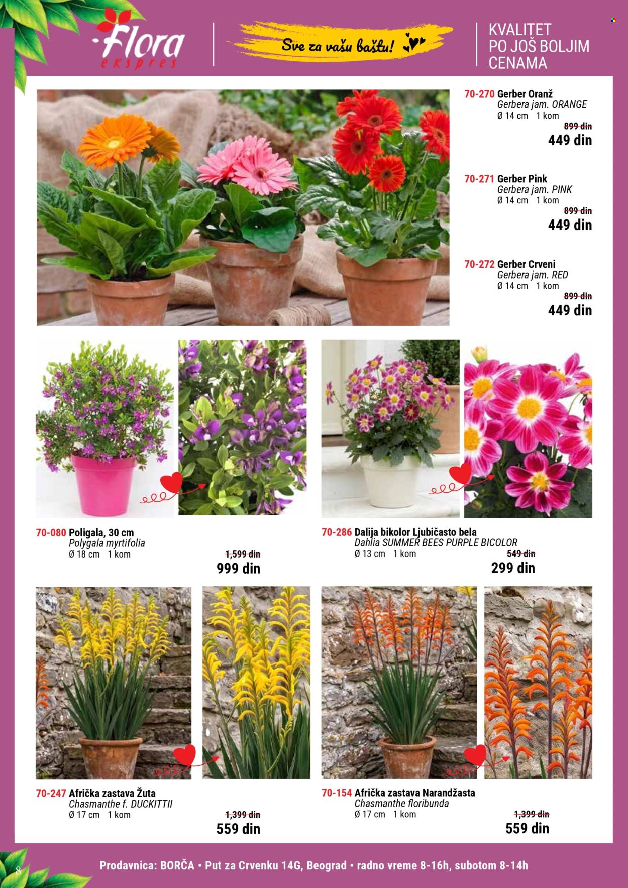Flora Ekspres katalog. Stranica 8