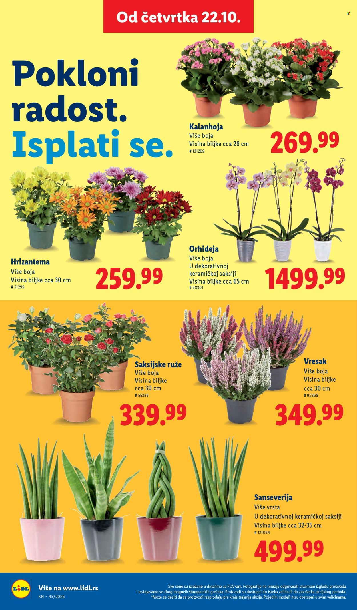 Lidl katalog - 22.10.2026 - 28.10.2026. Stranica 70