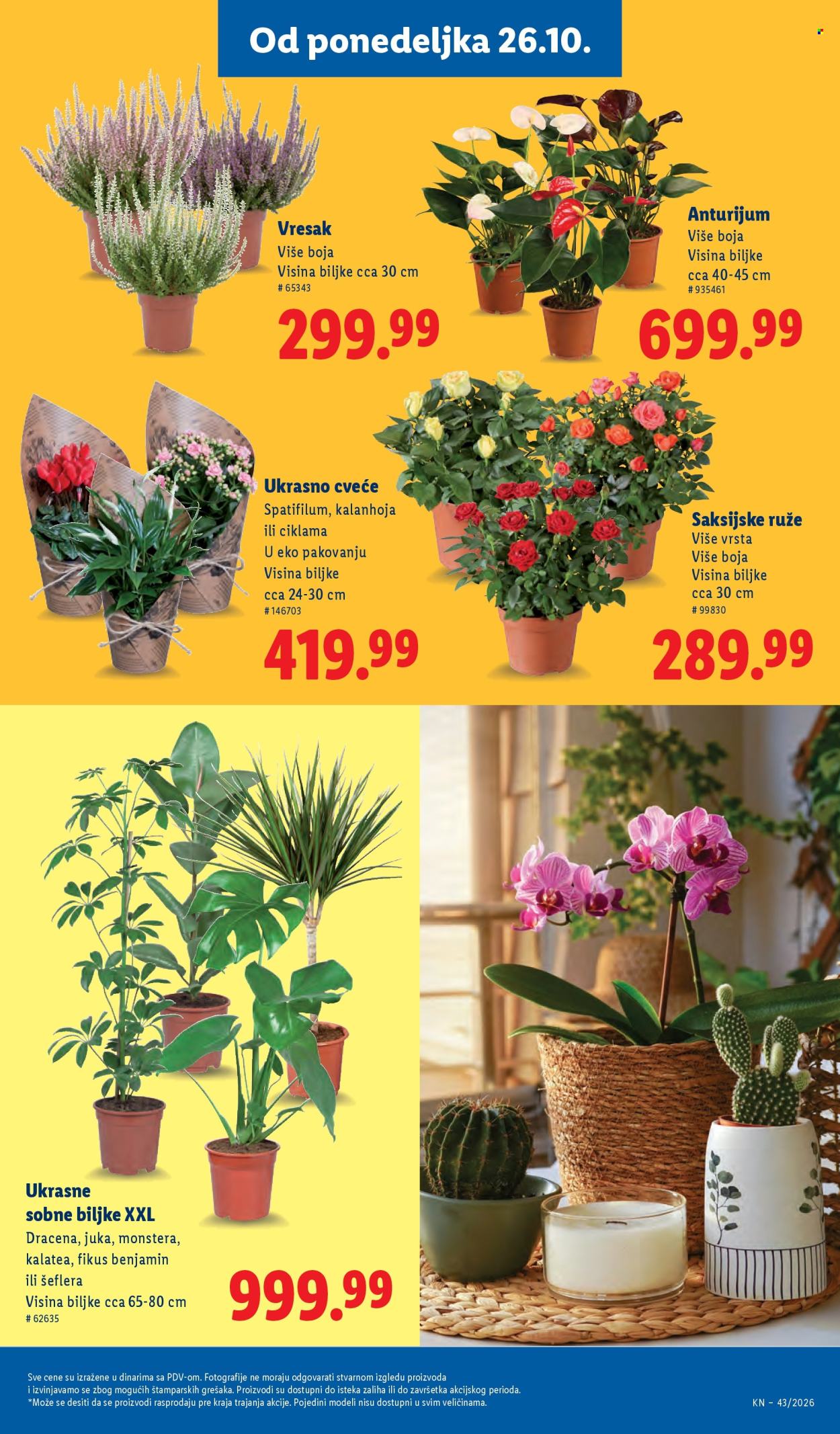 Lidl katalog - 22.10.2026 - 28.10.2026. Stranica 71