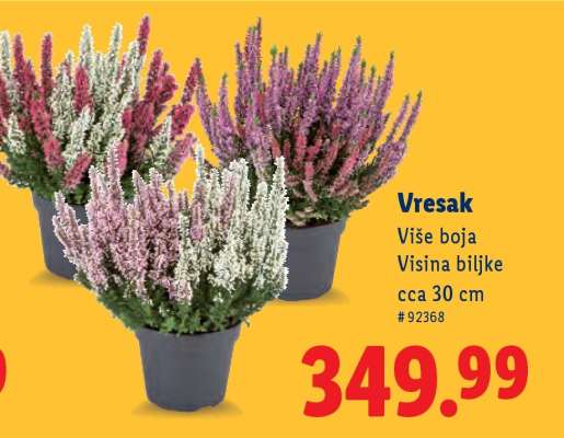Vresak
