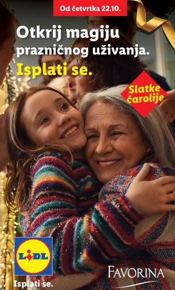 Lidl katalog.