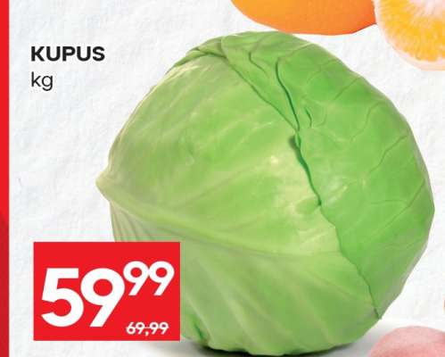 Kupus