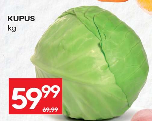 Kupus
