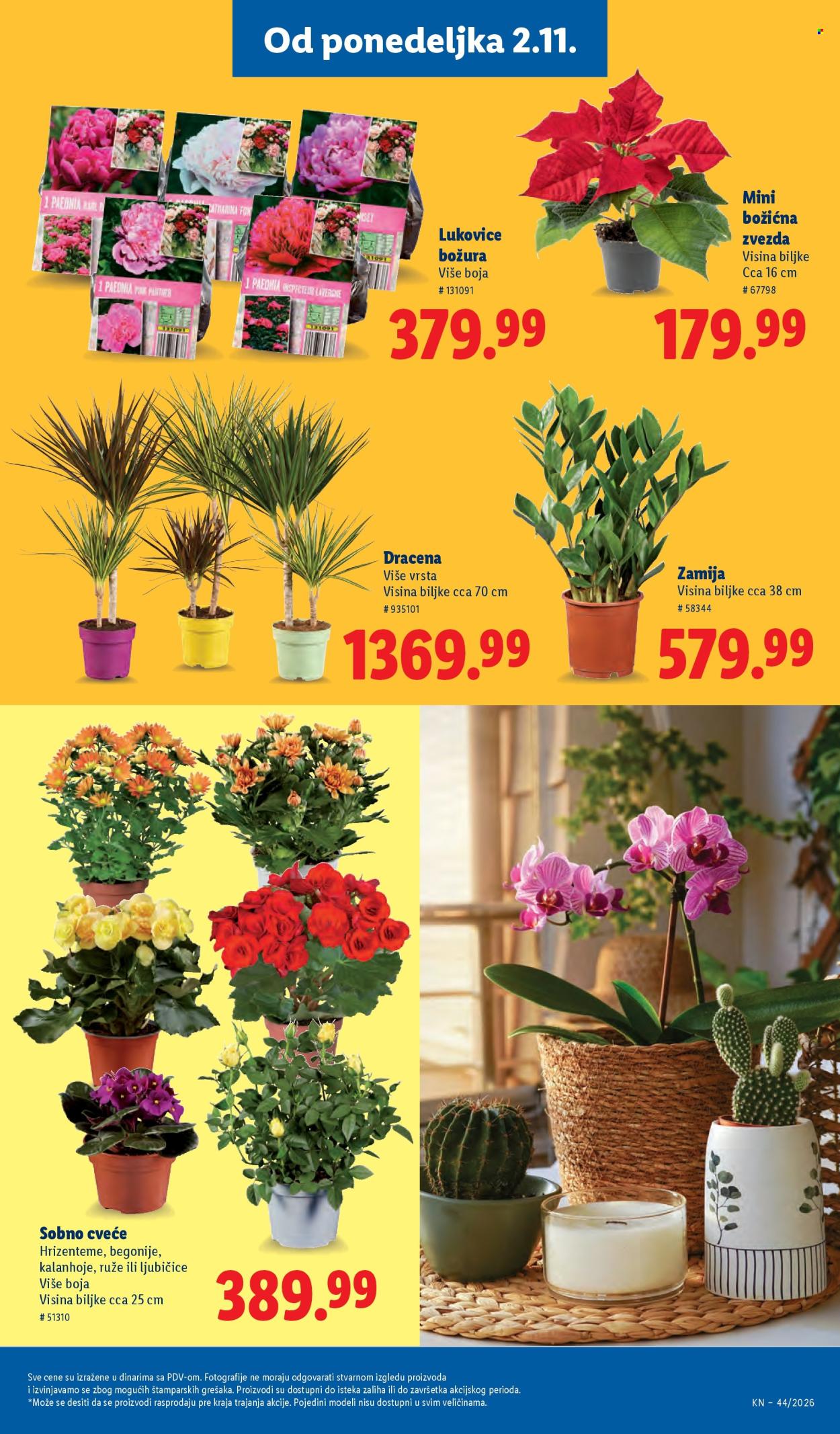Lidl katalog - 29.10.2026 - 04.11.2026. Stranica 73