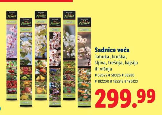 Sadnice voća