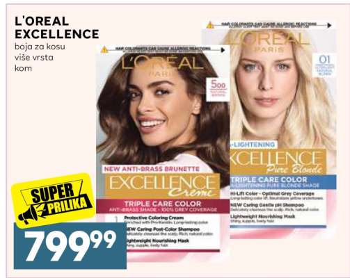 L'OREAL EXCELLENCE