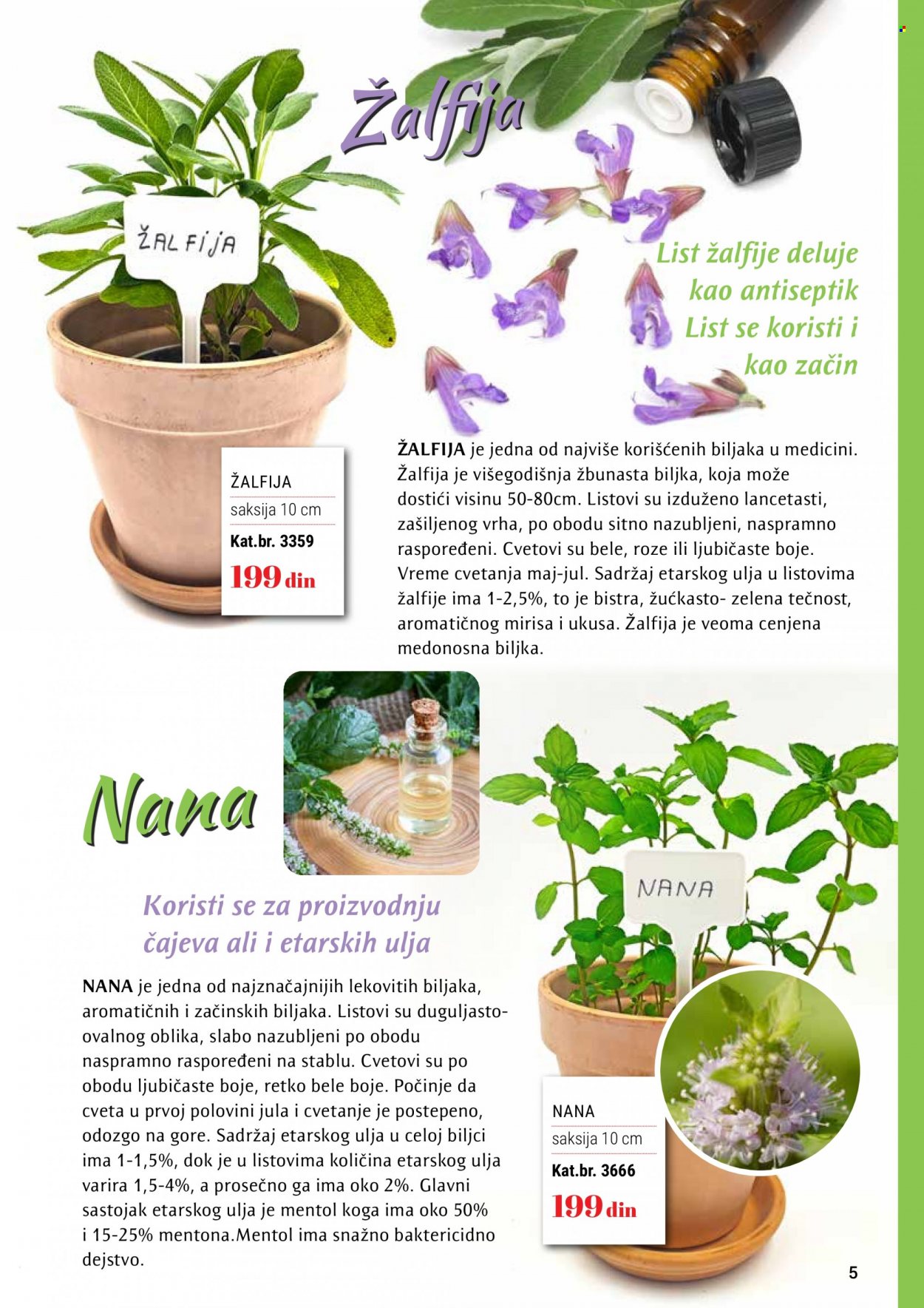 Flora Ekspres katalog.