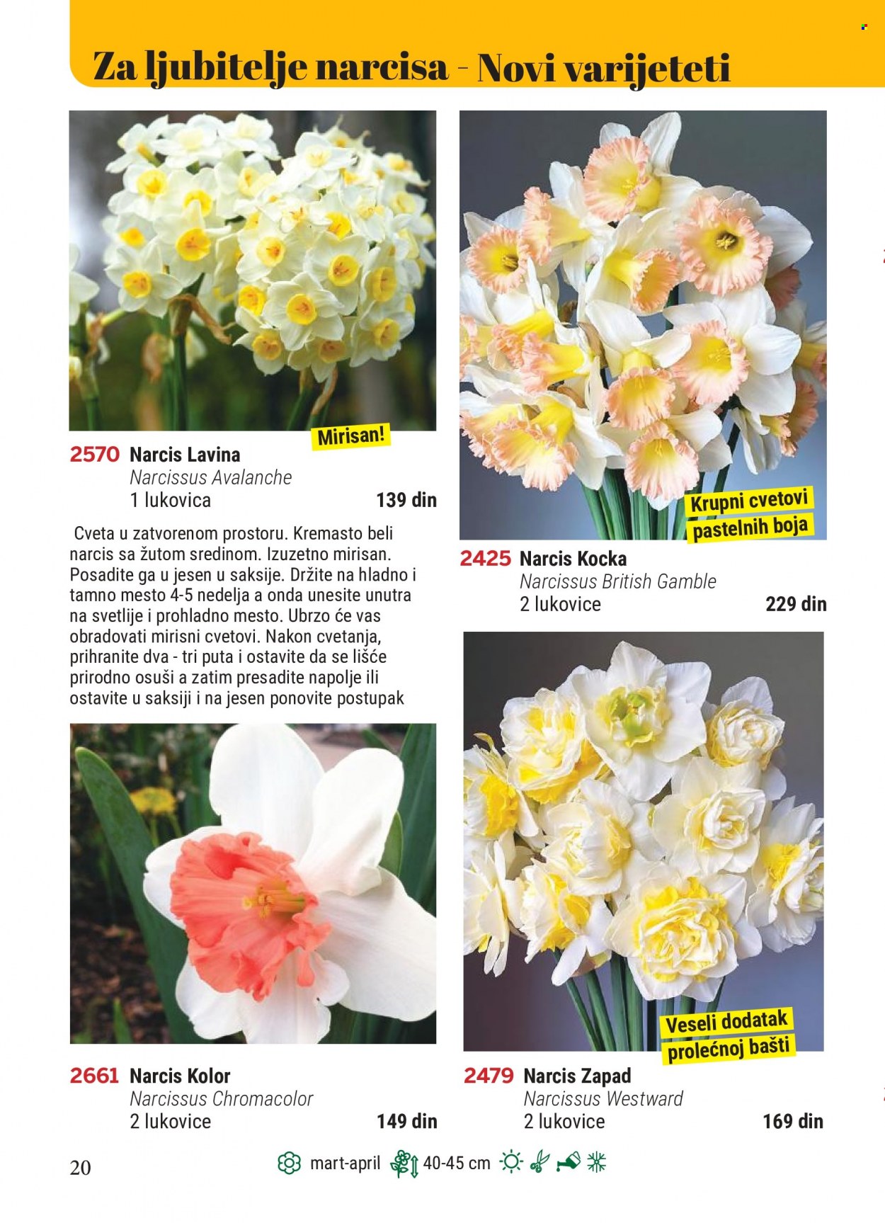 Flora Ekspres katalog. Stranica 20.