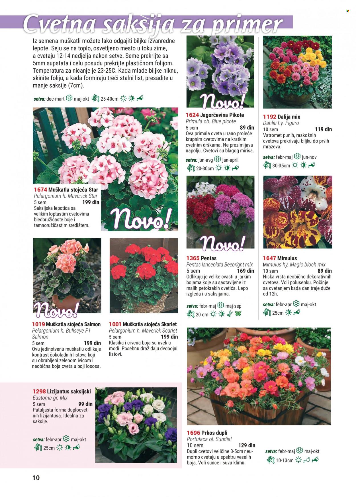 Flora Ekspres katalog.
